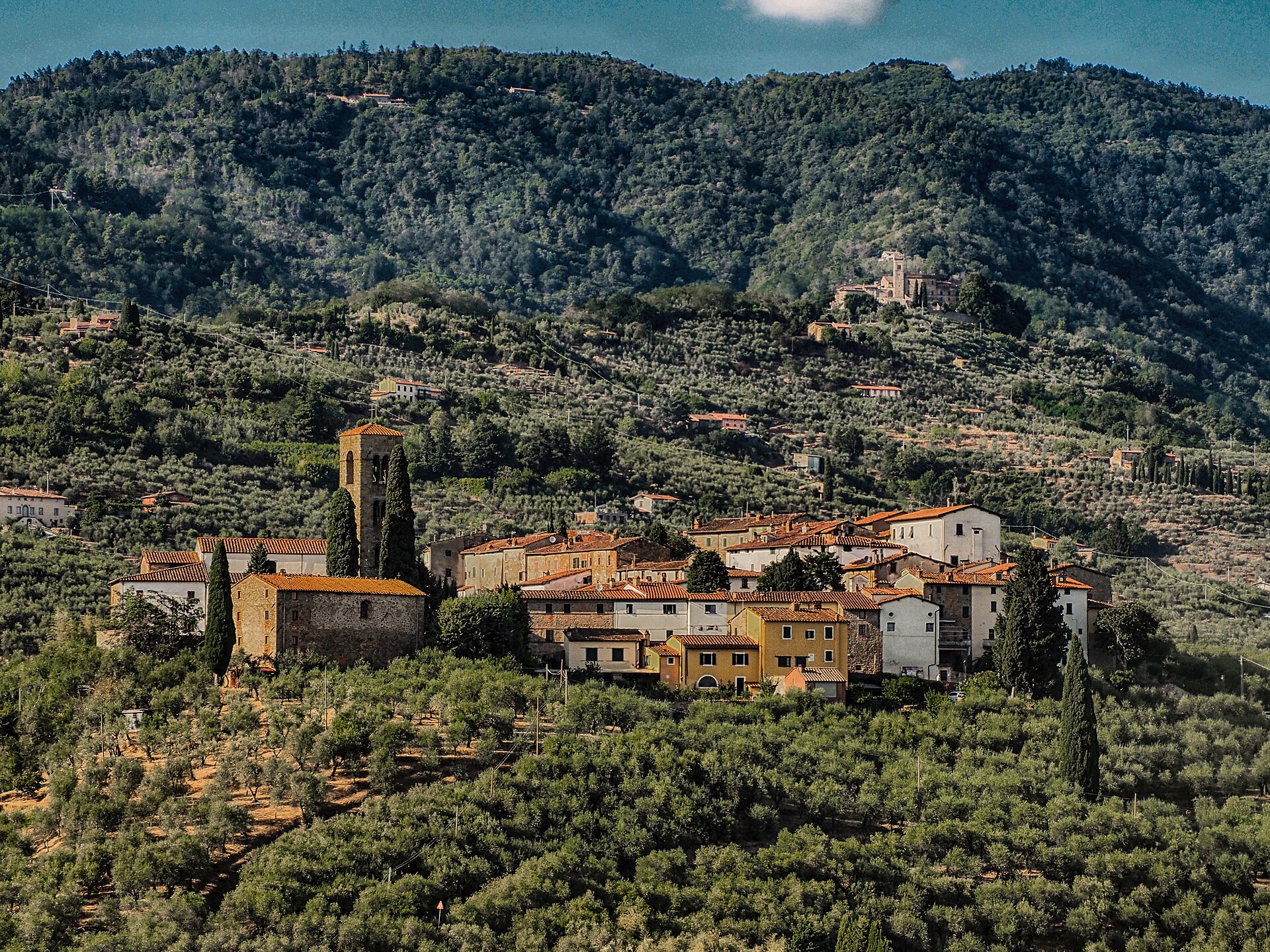 Eventi a Colle di Buggiano