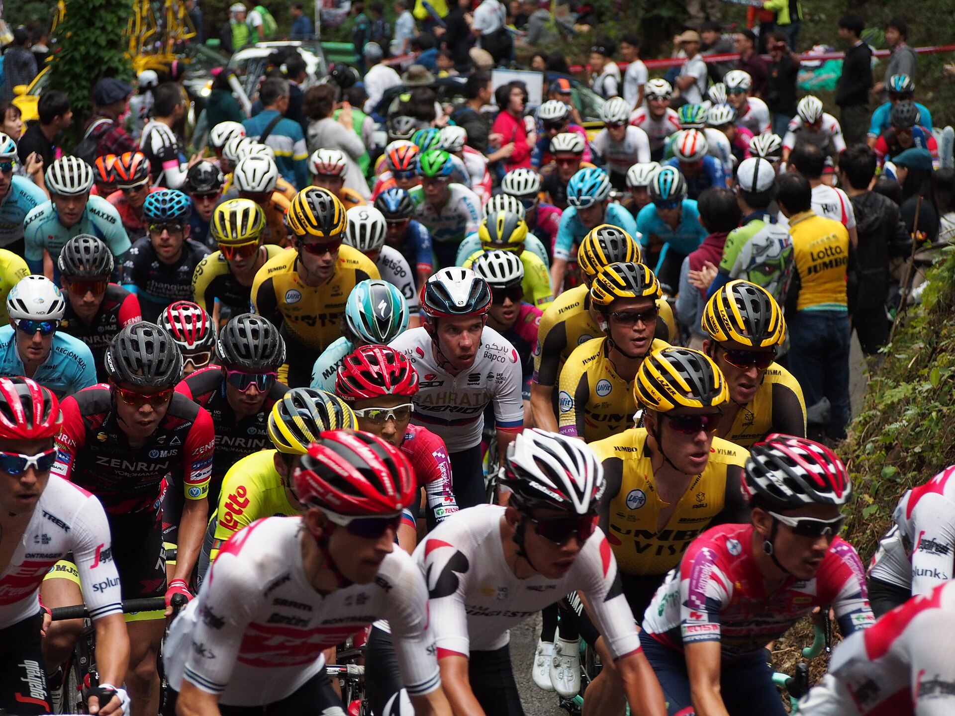 64ª Coppa Linari